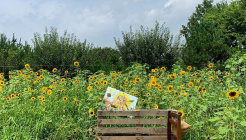 감자밭 매장 이미지