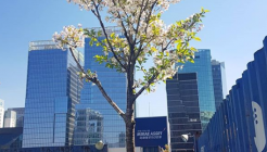 마이크임팩트 스퀘어 매장 이미지