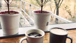 천천히카페 매장 이미지