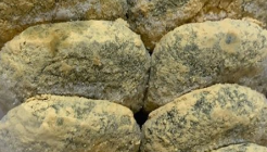 한마을떡 매장 이미지