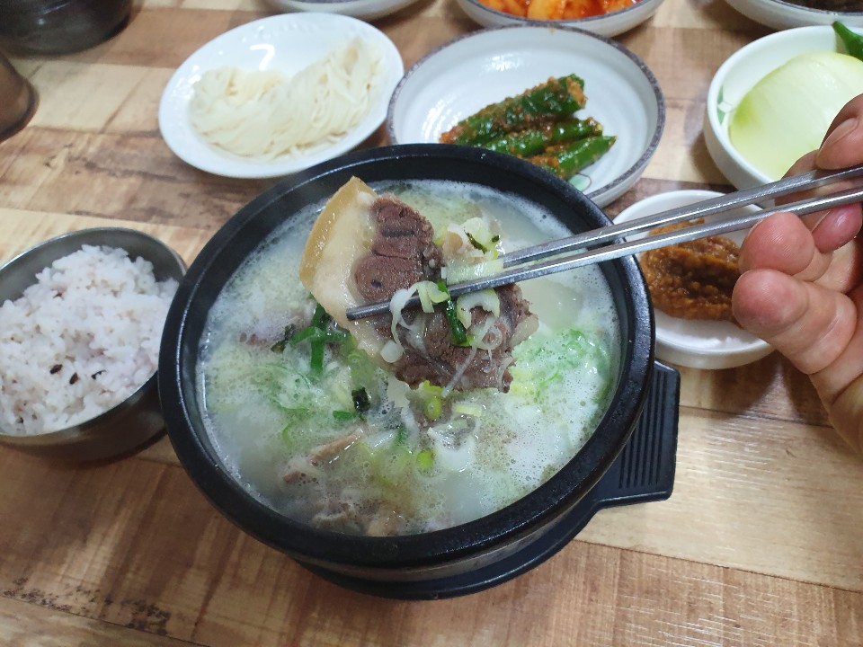 물망초설렁탕전문업소 매장 이미지