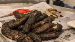 기장종가집곰장어 매장 이미지