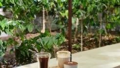 오라운트 매장 이미지