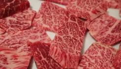 소나무 매장 이미지