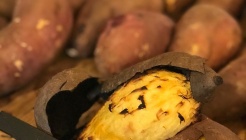 고심쌀롱 매장 이미지