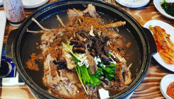 호미골산삼백숙 매장 이미지