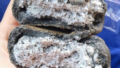 우리밀빵꿈터 건강담은 매장 이미지