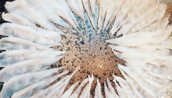 일식우마미 매장 이미지