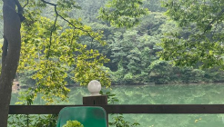 엔학고레 매장 이미지