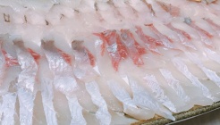 등대횟집 매장 이미지