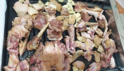 텃밭가든 매장 이미지