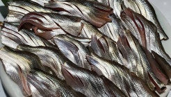 형제횟집 매장 이미지