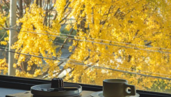 일면식 매장 이미지