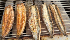 창석이네민물장어 매장 이미지