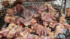 부산갈매기 매장 이미지