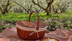 소풍 매장 이미지