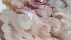 시장횟집(무계동) 매장 이미지