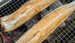 여기 풍천민물장어 매장 이미지