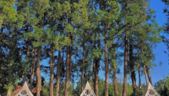 모레기동타잔 매장 이미지