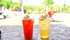 포레스트피크닉카페 매장 이미지