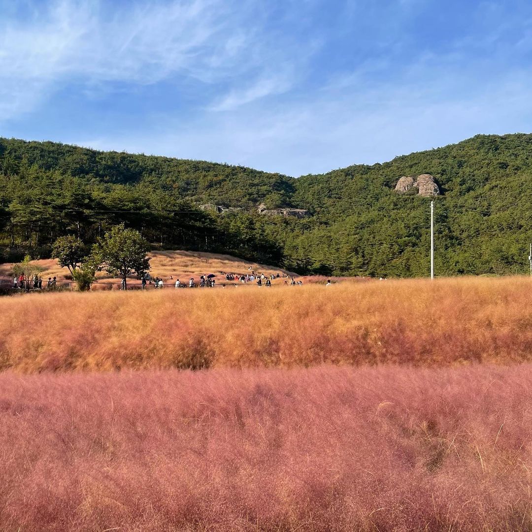 꽃객프로젝트 매장 이미지