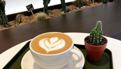 릴리오커피 매장 이미지