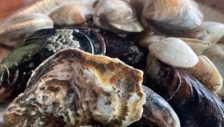 조개마을 매장 이미지