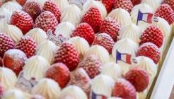 테디스오븐 매장 이미지