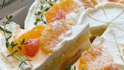 스프링엣다압 Spring at Daap 매장 이미지