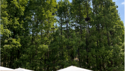 빅트리 매장 이미지