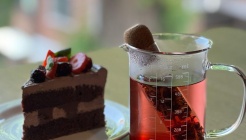 새비지가든 매장 이미지