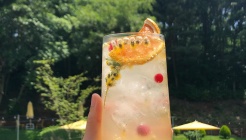 토리나무 매장 이미지