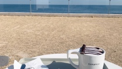 Auspice coffee 매장 이미지