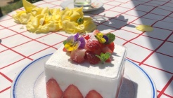 마을카페 안녕 매장 이미지