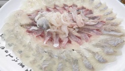 동해안회대게도매센터 매장 이미지