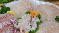 성산포수협활어회센터 매장 이미지