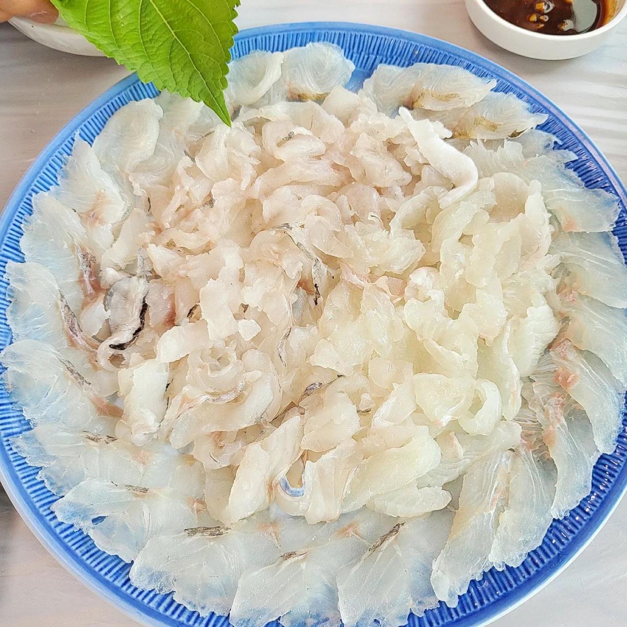 광진활어횟집 매장 이미지