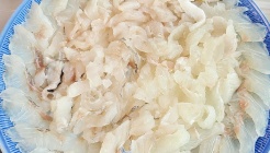 광진활어횟집 매장 이미지