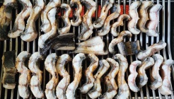 강화소루지갯벌장어양식장1호점 매장 이미지