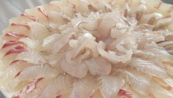 계절수산횟집 매장 이미지