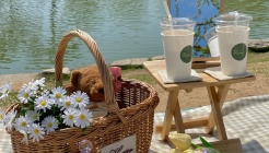 용연피크닉 매장 이미지