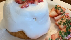 네시사분 매장 이미지