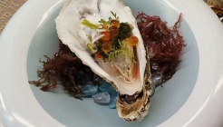 카시와 매장 이미지