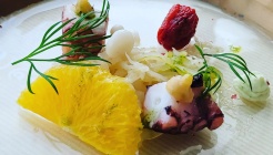 페스티바 매장 이미지