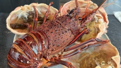 네기라이브 매장 이미지