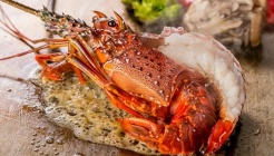 텐 하카타 매장 이미지