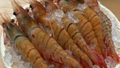 아카리 청담 매장 이미지