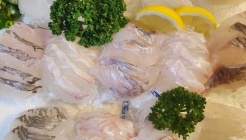 주문진횟집해신탕 매장 이미지