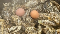 용당가야밀면 매장 이미지