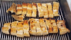 부안토종민물장어 매장 이미지